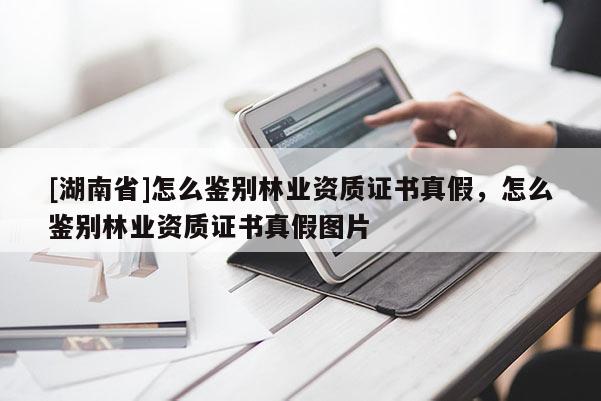 [湖南省]怎么鑒別林業(yè)資質(zhì)證書真假，怎么鑒別林業(yè)資質(zhì)證書真假圖片