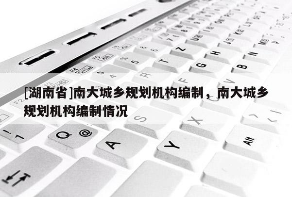 [湖南省]南大城鄉(xiāng)規(guī)劃?rùn)C(jī)構(gòu)編制，南大城鄉(xiāng)規(guī)劃?rùn)C(jī)構(gòu)編制情況
