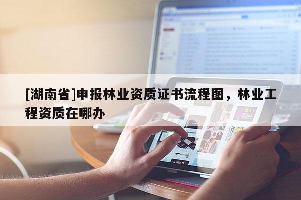 [湖南省]申報林業(yè)資質(zhì)證書流程圖，林業(yè)工程資質(zhì)在哪辦
