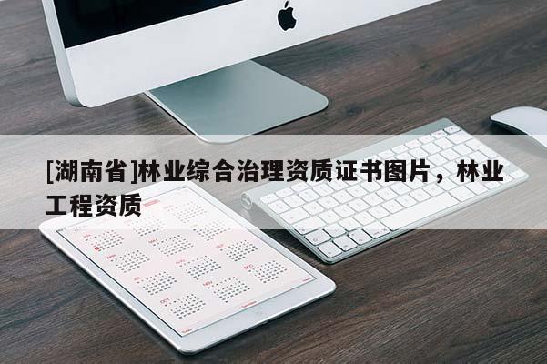 [湖南省]林業(yè)綜合治理資質(zhì)證書圖片，林業(yè)工程資質(zhì)