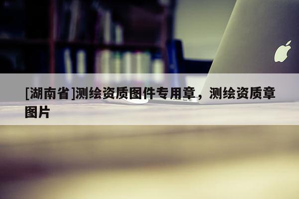 [湖南省]測繪資質(zhì)圖件專用章，測繪資質(zhì)章圖片