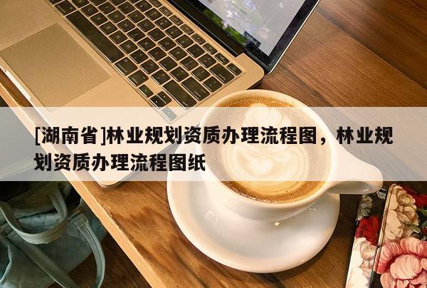 [湖南省]林業(yè)規(guī)劃資質(zhì)辦理流程圖，林業(yè)規(guī)劃資質(zhì)辦理流程圖紙