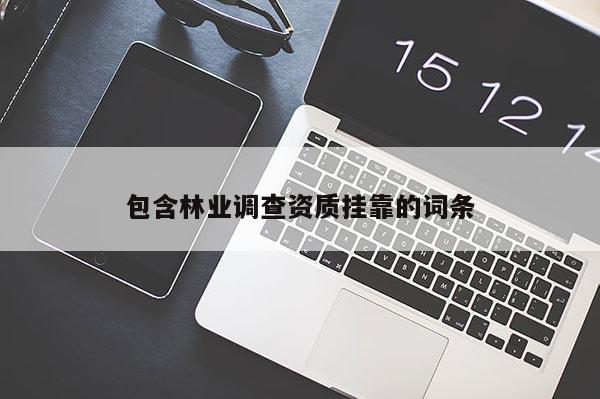 包含林業(yè)調(diào)查資質(zhì)掛靠的詞條