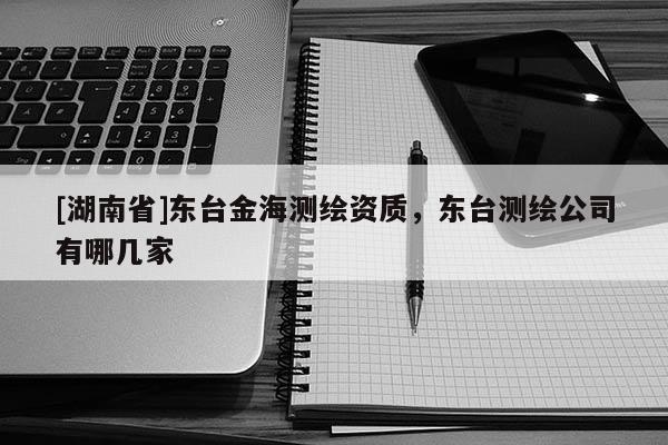 [湖南省]東臺(tái)金海測(cè)繪資質(zhì)，東臺(tái)測(cè)繪公司有哪幾家