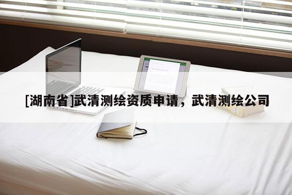 [湖南省]武清測繪資質(zhì)申請，武清測繪公司
