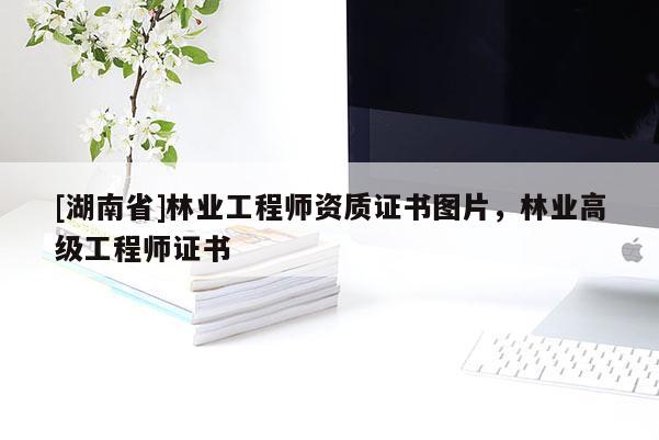 [湖南省]林業(yè)工程師資質證書圖片，林業(yè)高級工程師證書