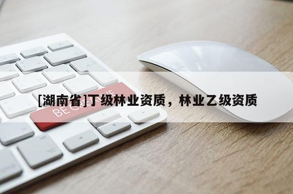 [湖南省]丁級(jí)林業(yè)資質(zhì)，林業(yè)乙級(jí)資質(zhì)