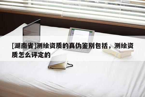 [湖南省]測繪資質的真?zhèn)舞b別包括，測繪資質怎么評定的
