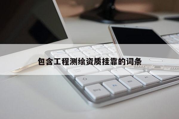 包含工程測繪資質(zhì)掛靠的詞條