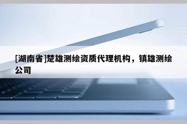 [湖南省]楚雄測(cè)繪資質(zhì)代理機(jī)構(gòu)，鎮(zhèn)雄測(cè)繪公司