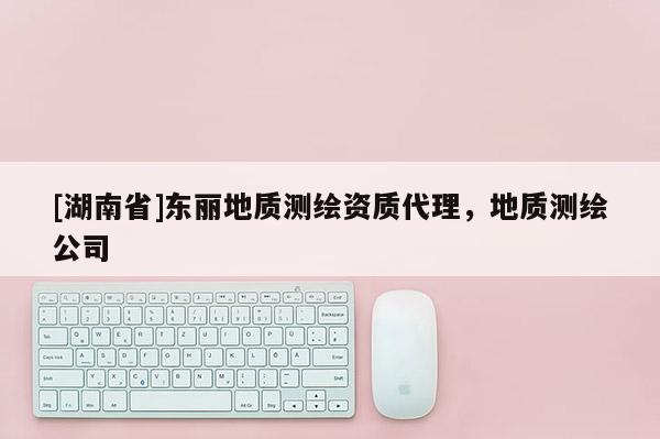 [湖南省]東麗地質(zhì)測繪資質(zhì)代理，地質(zhì)測繪公司