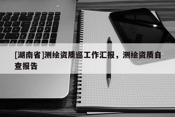 [湖南省]測繪資質(zhì)巡工作匯報，測繪資質(zhì)自查報告