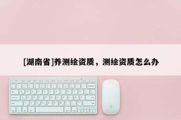 [湖南省]養(yǎng)測繪資質(zhì)，測繪資質(zhì)怎么辦