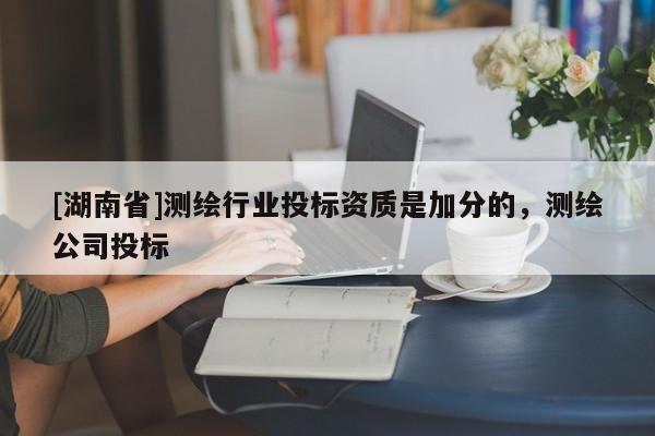 [湖南省]測(cè)繪行業(yè)投標(biāo)資質(zhì)是加分的，測(cè)繪公司投標(biāo)