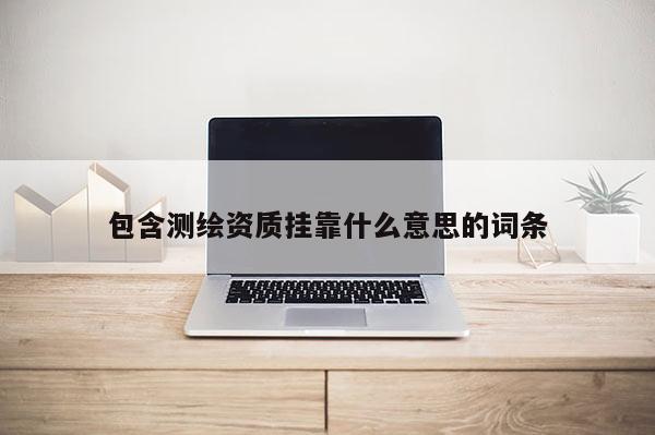 包含測繪資質(zhì)掛靠什么意思的詞條