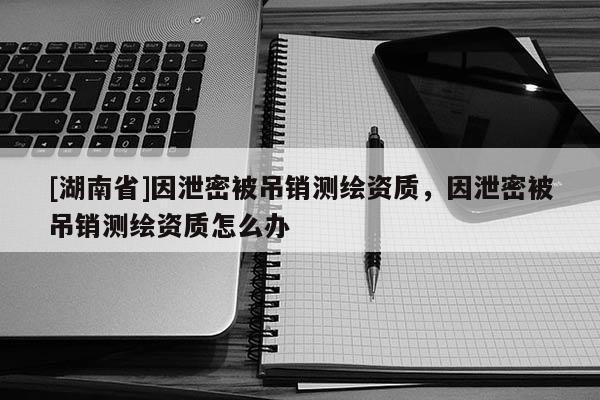 [湖南省]因泄密被吊銷測繪資質(zhì)，因泄密被吊銷測繪資質(zhì)怎么辦