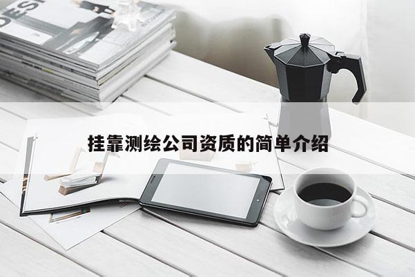 掛靠測繪公司資質(zhì)的簡單介紹