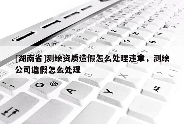 [湖南省]測繪資質造假怎么處理違章，測繪公司造假怎么處理