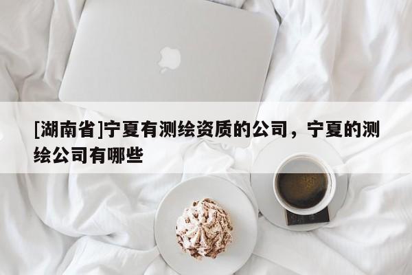[湖南省]寧夏有測(cè)繪資質(zhì)的公司，寧夏的測(cè)繪公司有哪些