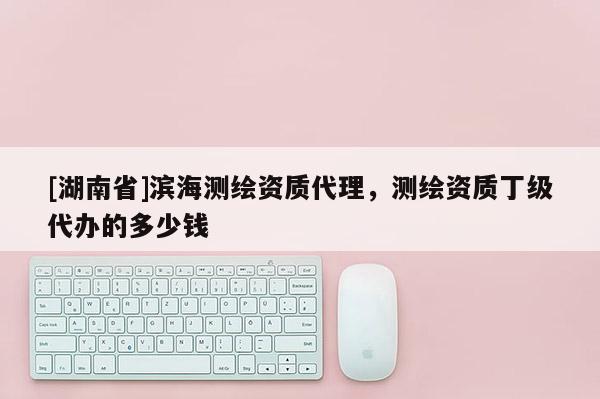 [湖南省]濱海測繪資質(zhì)代理，測繪資質(zhì)丁級代辦的多少錢