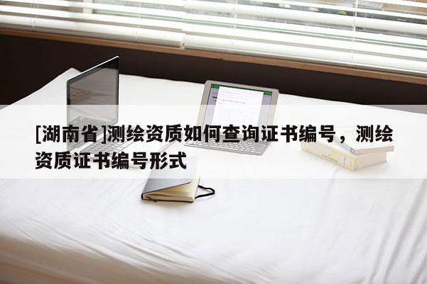 [湖南省]測繪資質如何查詢證書編號，測繪資質證書編號形式