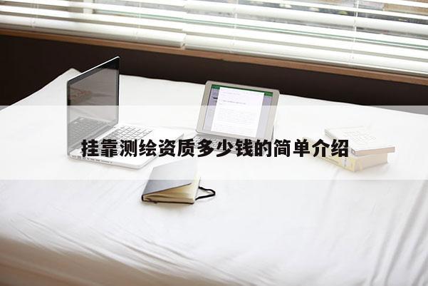 掛靠測繪資質(zhì)多少錢的簡單介紹
